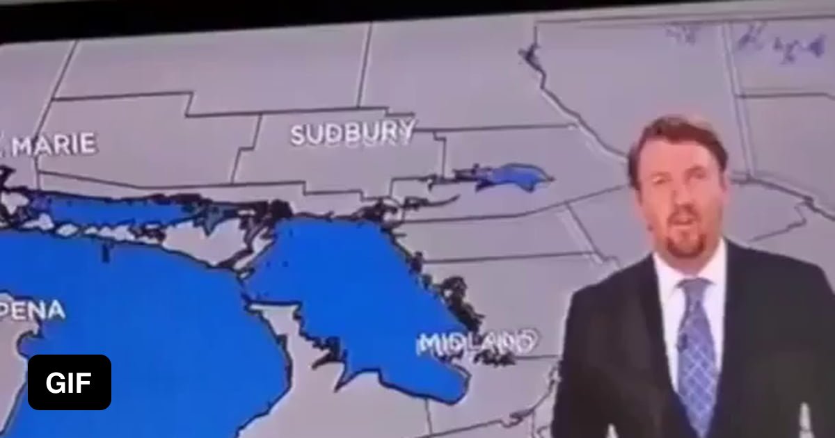 Storm the Weather Dog at Global Toronto 9GAG