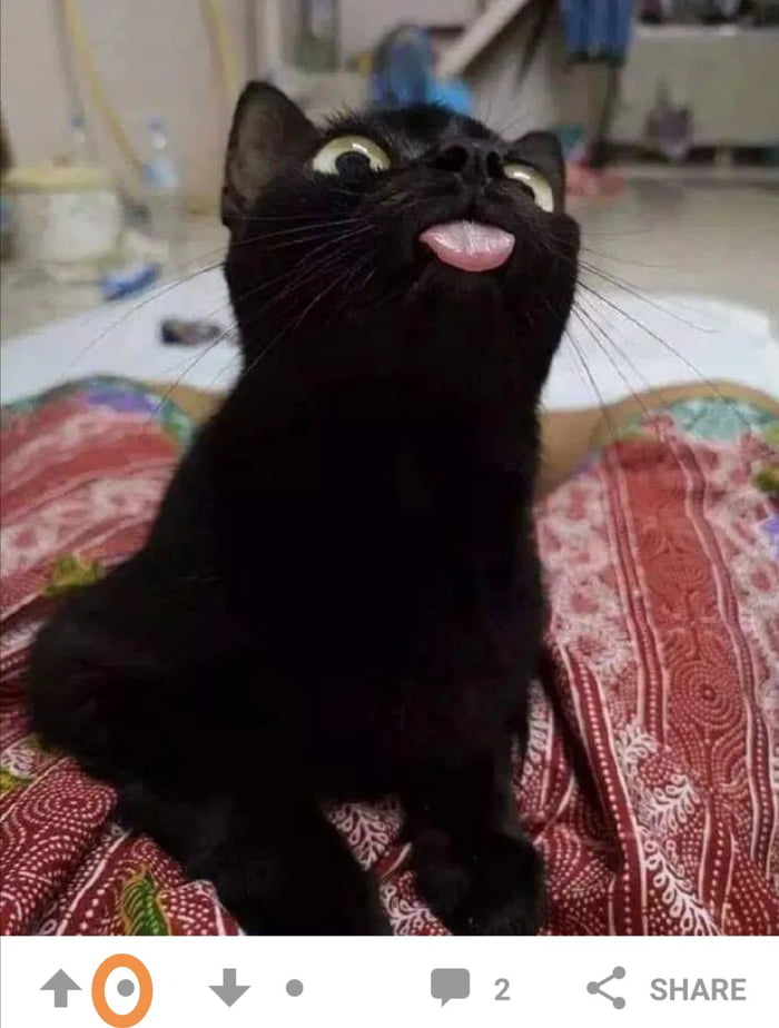 what-does-the-dot-next-to-the-upvote-button-mean-and-why-is-it-only-in