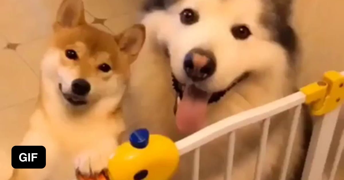 Human Let Us Out 9GAG human-let-us-out-9gag
