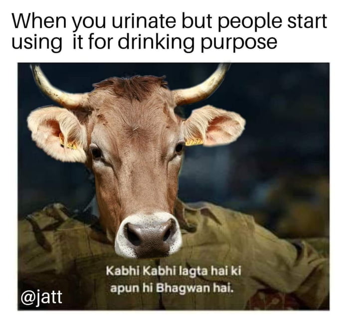 Cow Ka Sing In English Meaning