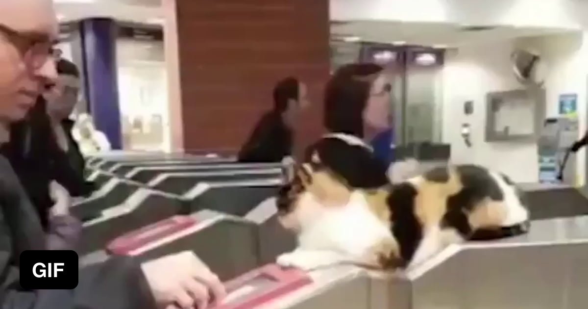 All railway passengers must first undergo a cat scan - 9GAG