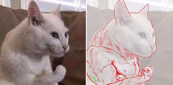 Кот с лапкой мем