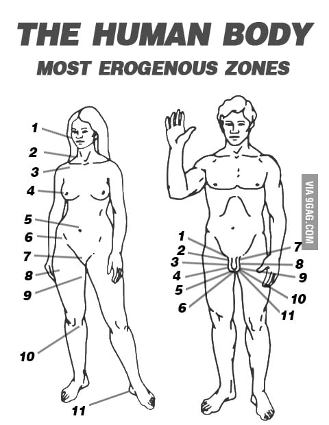 Men's Erogenous Zone