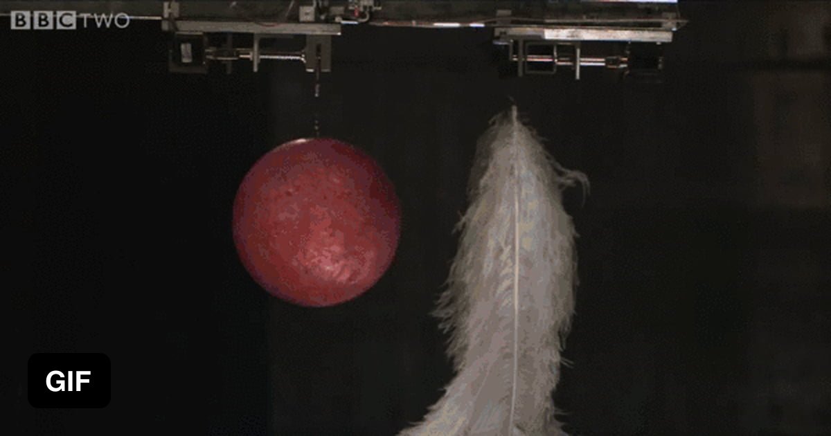 Dropping feathers and a bowling ball in a vacuum 9gag