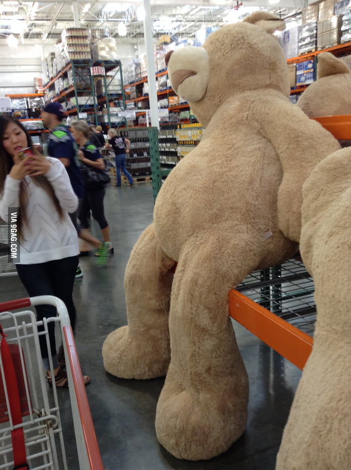 big life size teddy bear costco