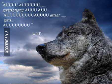Quotes from wolf - 9GAG