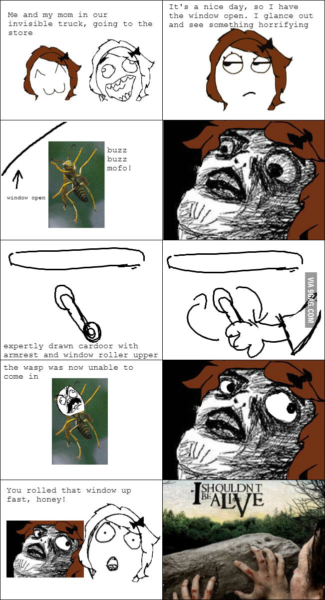 Wasps Creep Me Right The Out 9gag