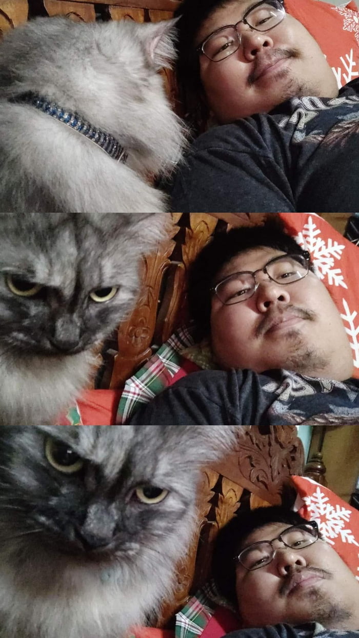 My cat hates my boyfriend lol 9GAG