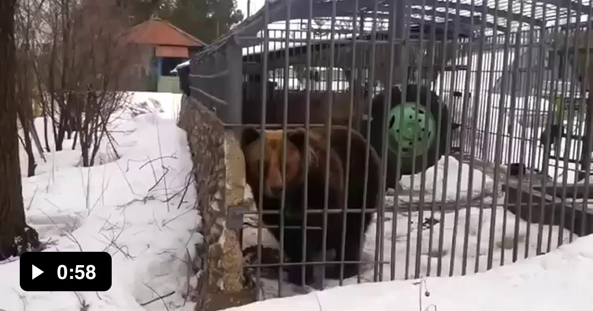 Don't go there, he said - 9GAG