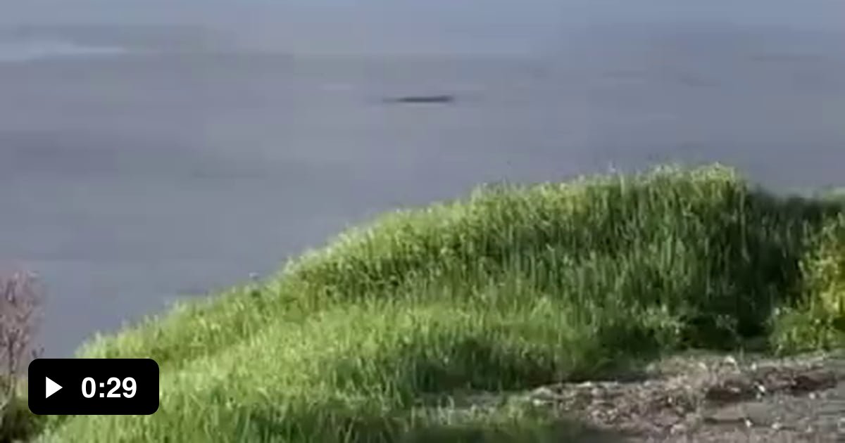 Brian Blessed Would Say DIIIIVEEEE 9GAG