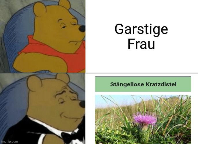 Zur Abwechslung Mal oc 9GAG
