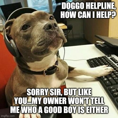 Who IS a good boy? - 9GAG