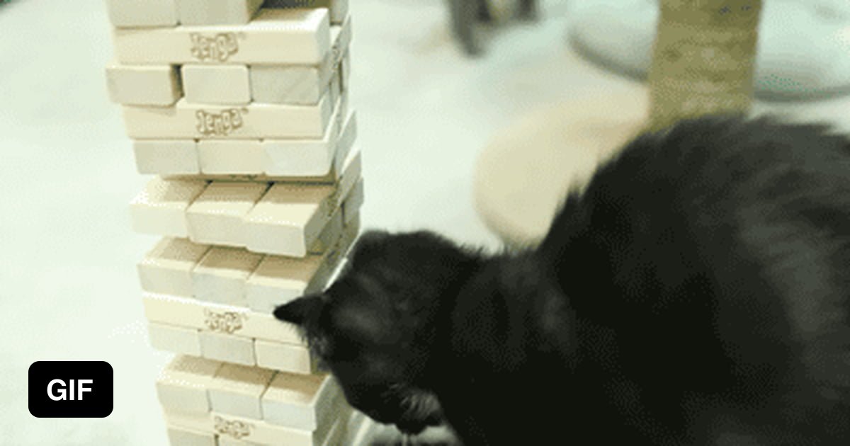 Cat playing Jenga 9GAG