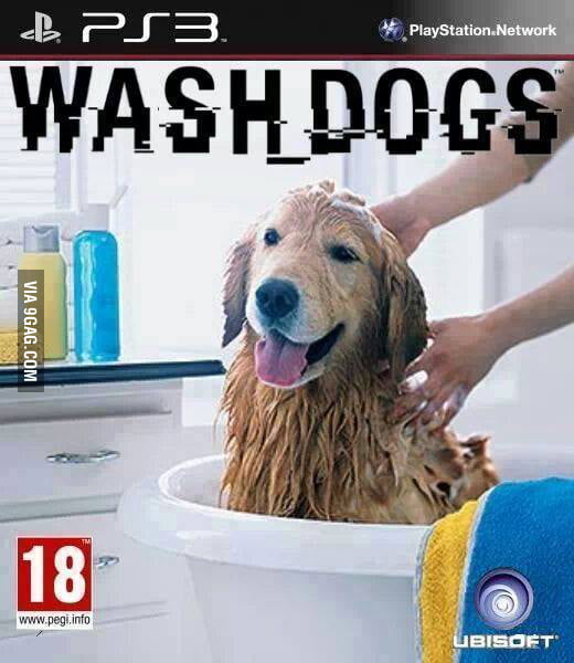 wash-dogs-wait-for-it-9gag