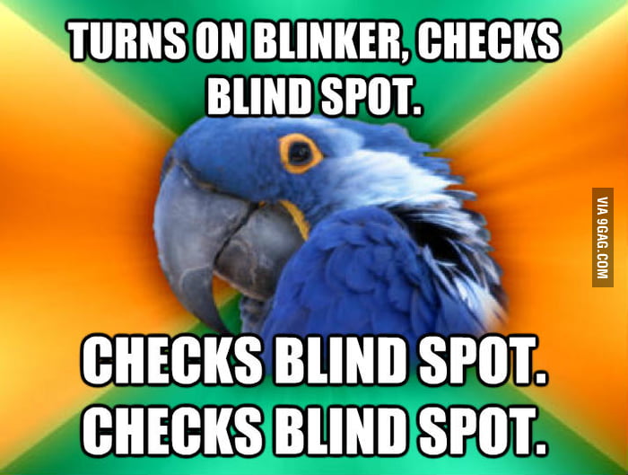 Paranoid Parrot changes lanes on the highway - 9GAG