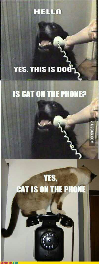 Just another day - 9GAG