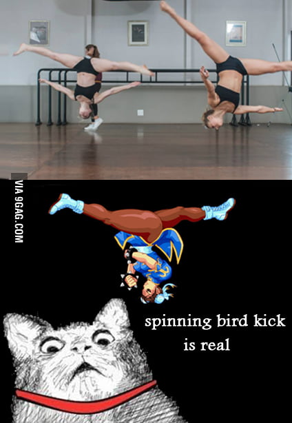 Spinning Bird Kick 9gag