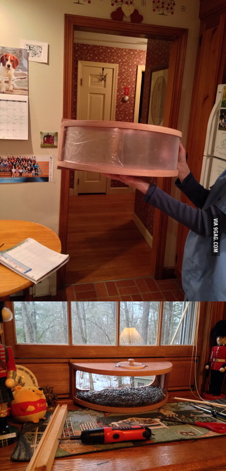 Bird Feeder Brings Birds Into Your House It Has One Way Mirror So