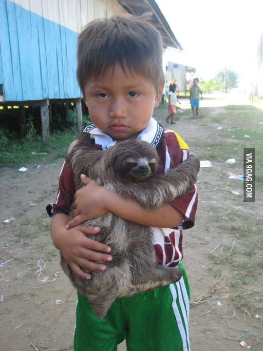 A kid and his sloth hanging out on the Amazon (Peru/ Colombian borders ...