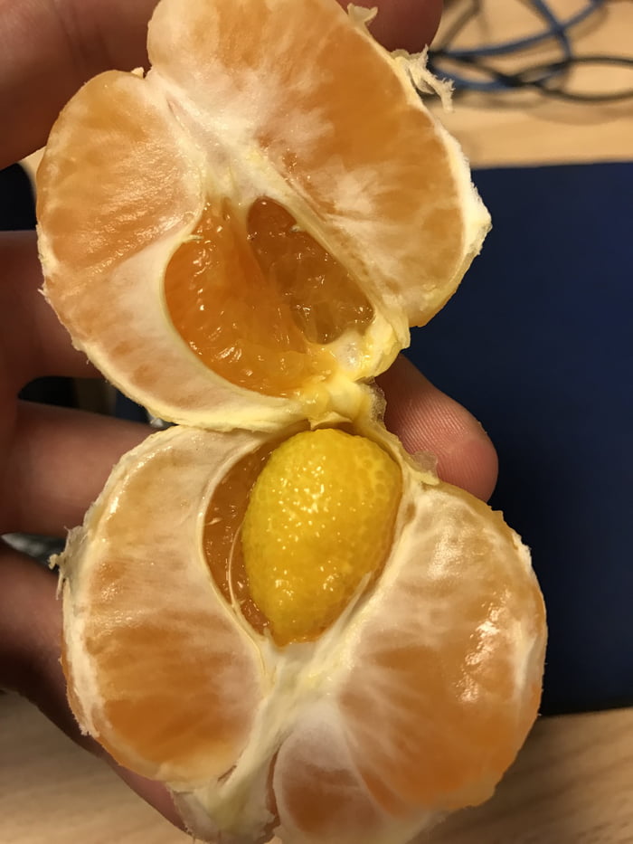 I found an Orange growing inside my Orange. 9GAG