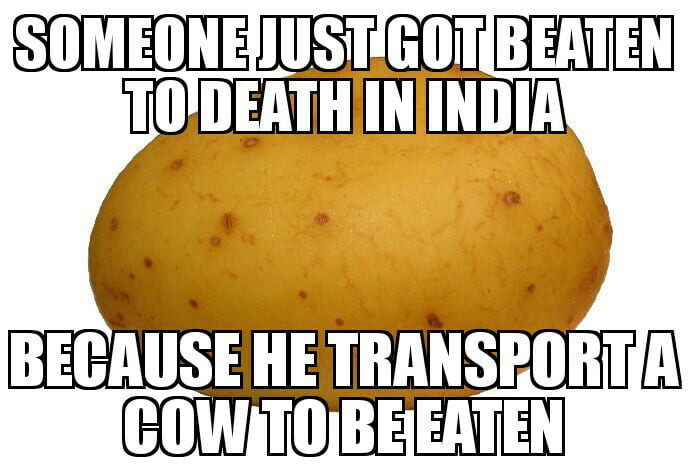 The Potato Flew Around My Room When You Came In 9gag