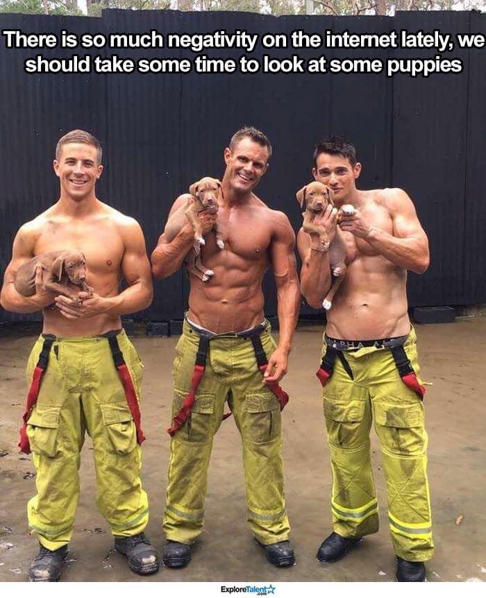 Hot Guys And Adorable Puppies Good Combination 9gag