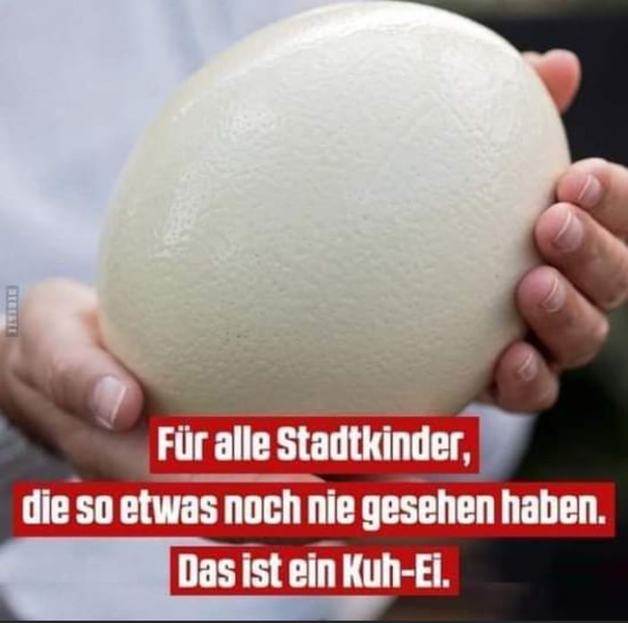 Kuh Ei Das Kennt Ja Wohl Jeder Gag