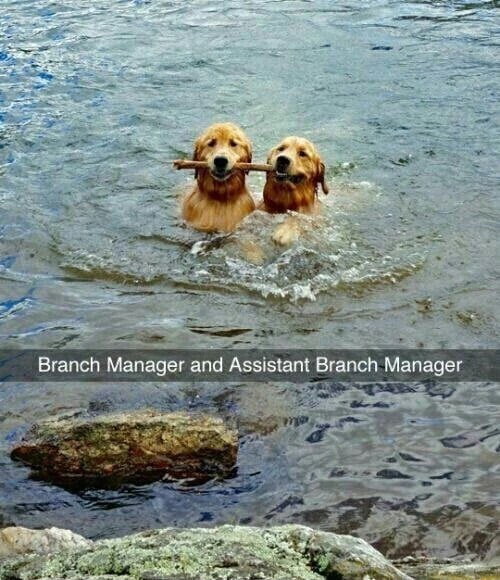 a-good-management-team-makes-every-shift-easier-9gag