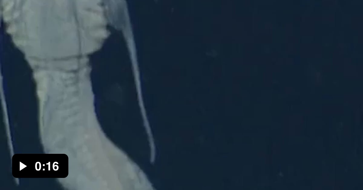 This species, Careproctus longifilis, is also known as the threadfin