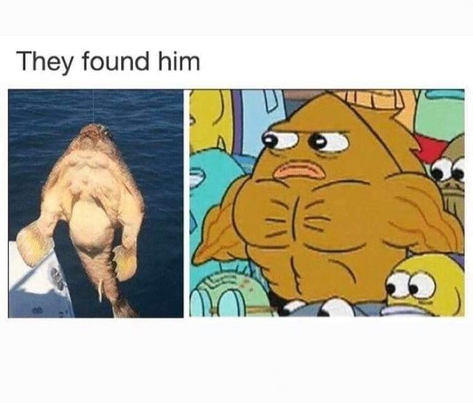 Holup, Muscle Fish from SpongeBob...! You're Real? For Real? 9GAG