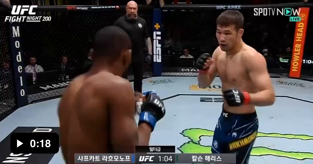 Spinning Heel Kick in UFC Today 9GAG