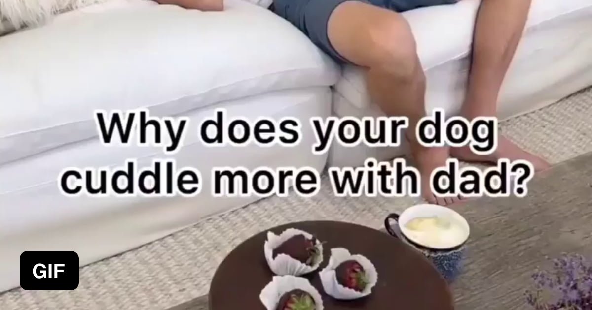 Why does the dog cuddle more with dad 9GAG