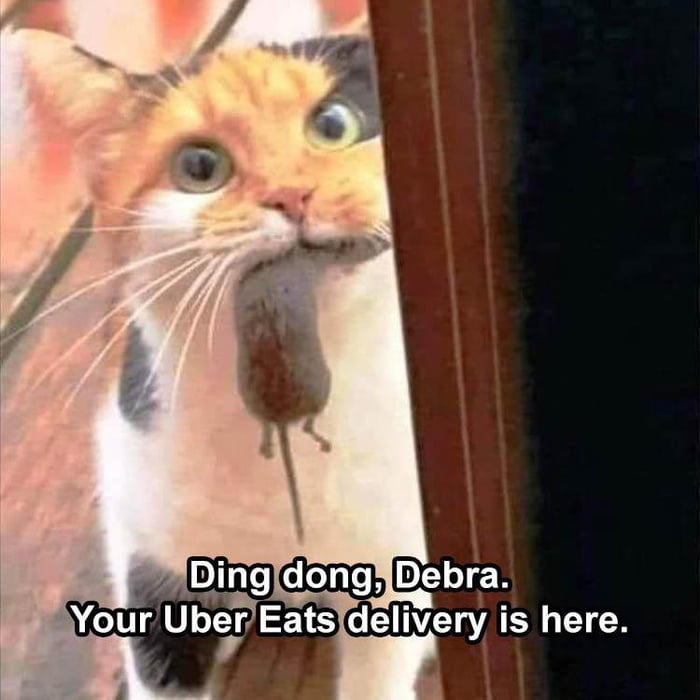 Uber Eats Driver 9GAG uber-eats-driver-9gag