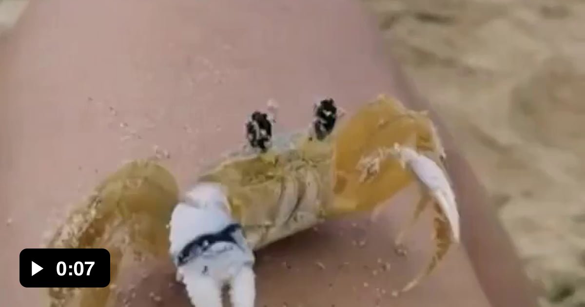 Crab wiping their eyes. 9GAG