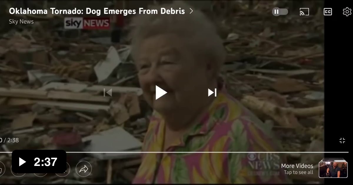 Woman finds her missing dog she believed was killed during a tornado ...
