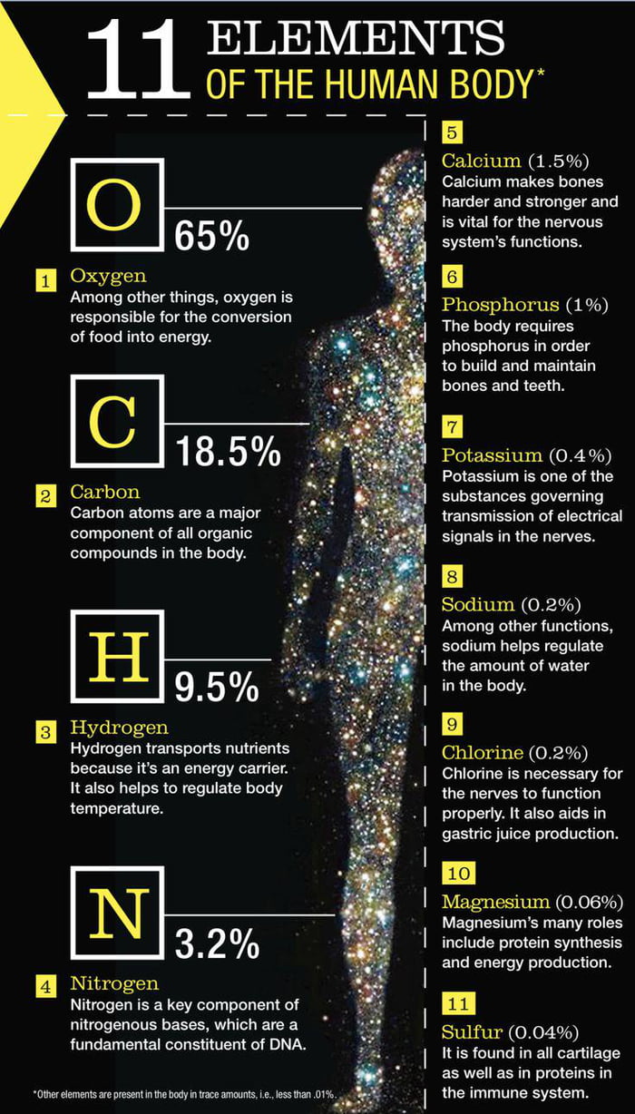 Line Body Element A Cool Guide To 11 Elements Of The Human Body - 9GAG