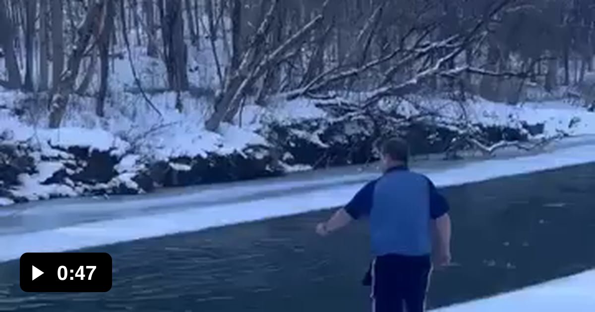 Vermont man jumps into icy river to save struggling dog from certain ...