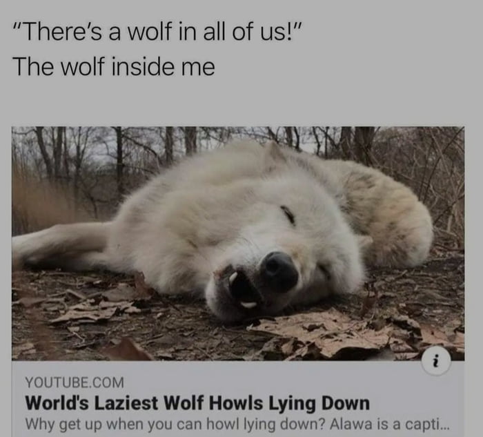 Wolf inside me - 9GAG
