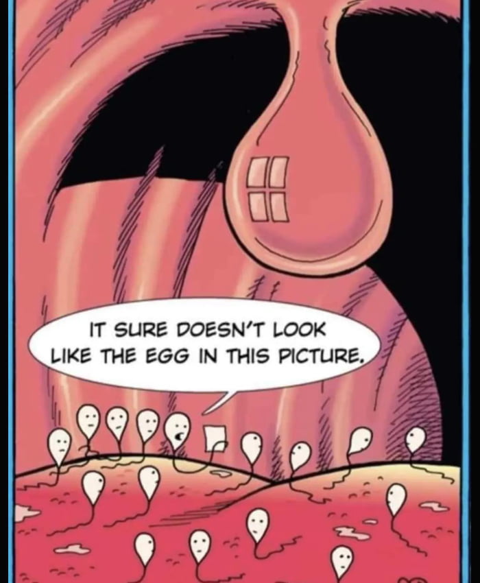 Not the egg. - 9GAG