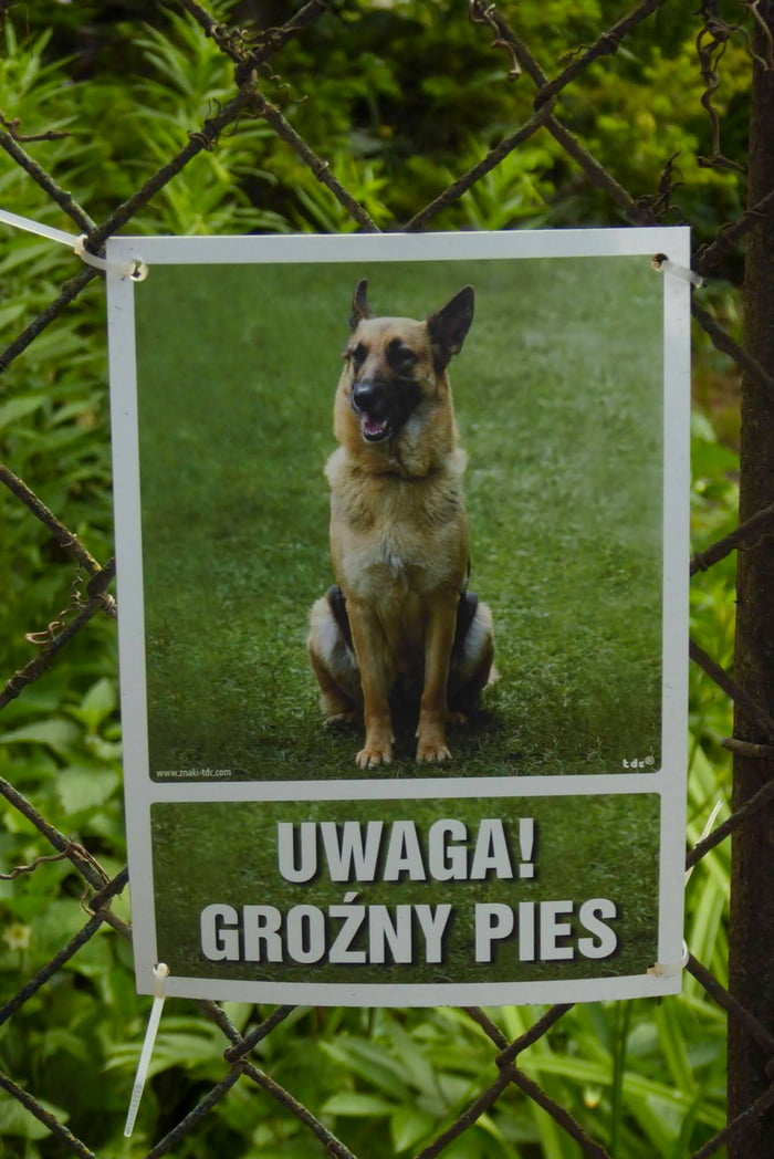 Beware Of Dogs, targa in metallo personalizzata, targa