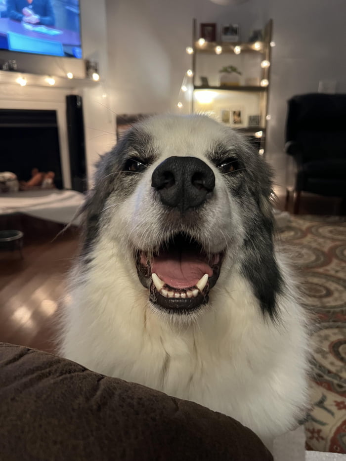 Someone is very happy - 9GAG