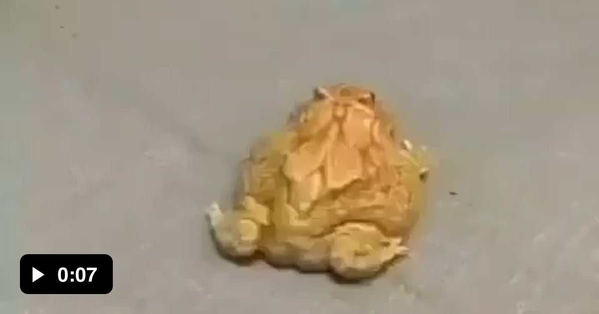 Toad - 9GAG