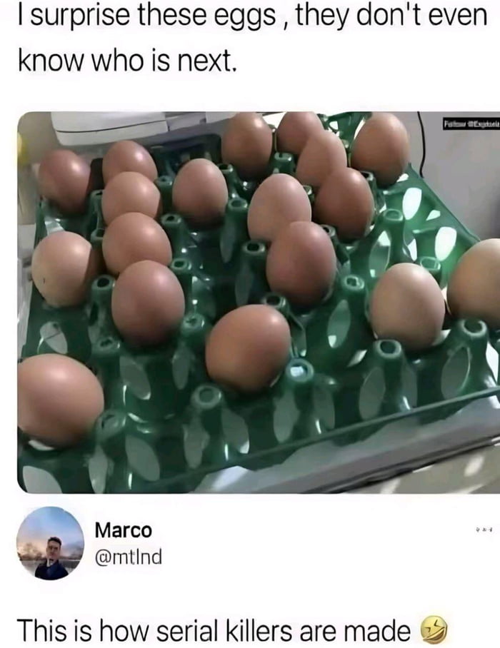 The eggs are definitely feeling the suspense. - 9GAG
