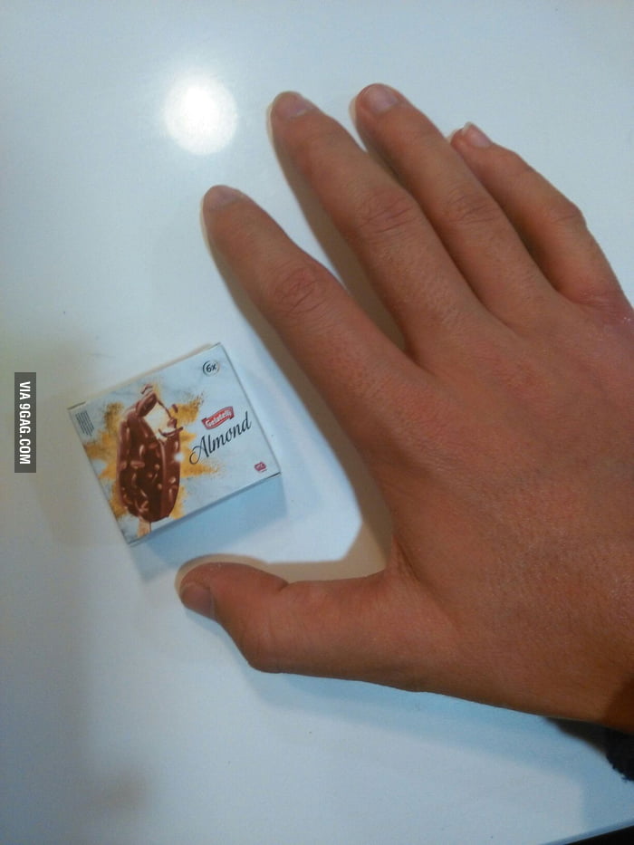 What is this? Ice cream for ants? (my girlfriend for scale) - 9GAG