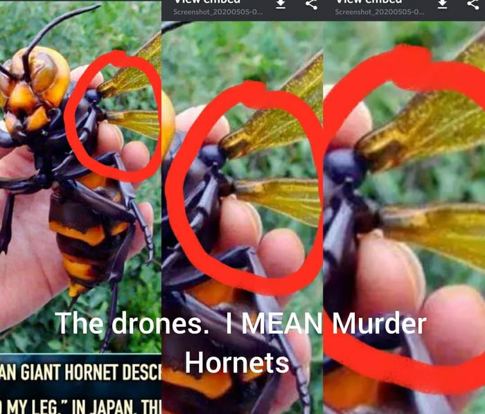 Murder drones. - 9GAG