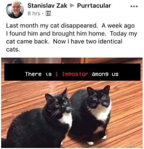 Wtf... They do look same though. - 9GAG
