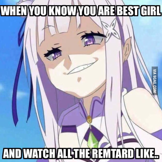 With all the controversy around Re:Zero, just know that Emilia is best