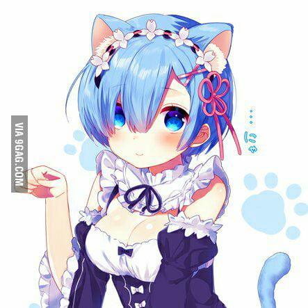 re zero neko