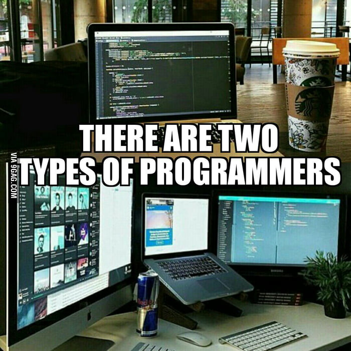 There Are Two Types Of Programmers 9GAG