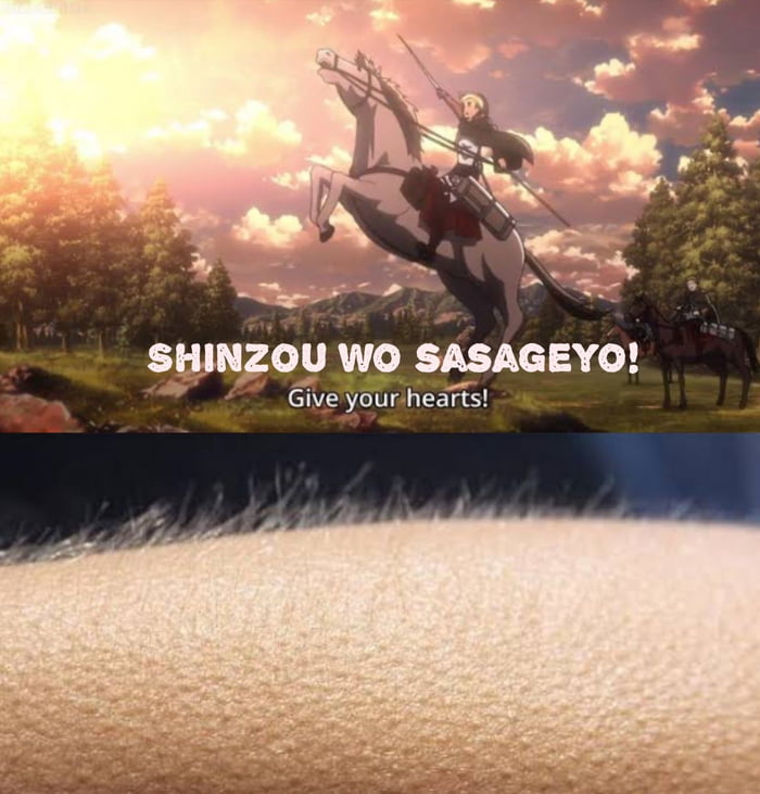 Shinzou wo sasageyo перевод. Sasageyo Эрвин. Сасагео сасагео. Шинзо сасагео на японском. Сасагео атака титанов Мем.